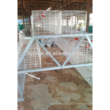 3 Tier 120 Birds Capacity Chicken Layer Cage For Poultry In Dubai